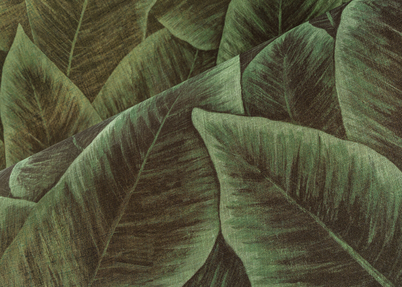 DécorsPanoramiques_Birdofparadise_97572_Mood_Web_LR-hero