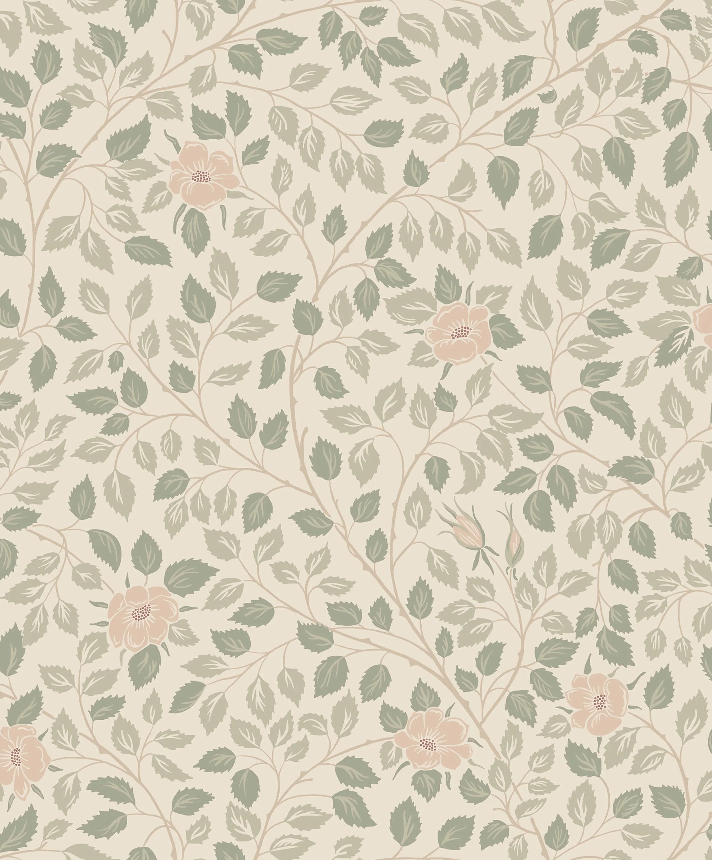 S10462 product