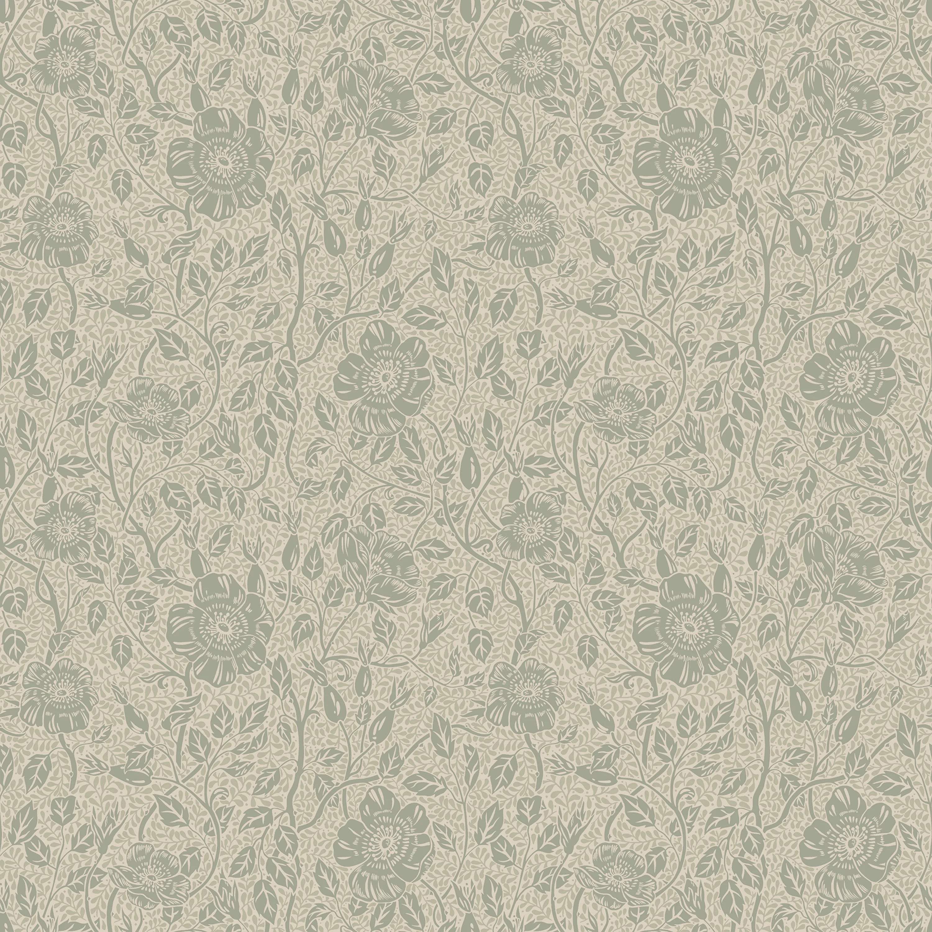 S10569 product