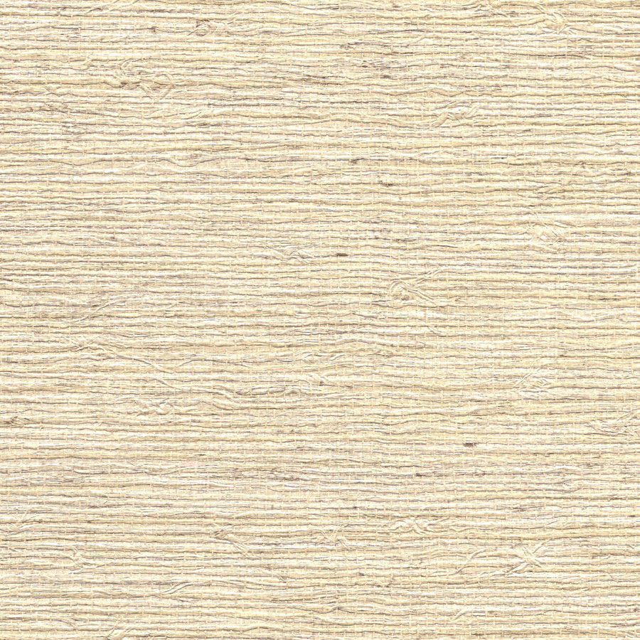 PERFORMANCE VINYL VINYL ARROWROOT