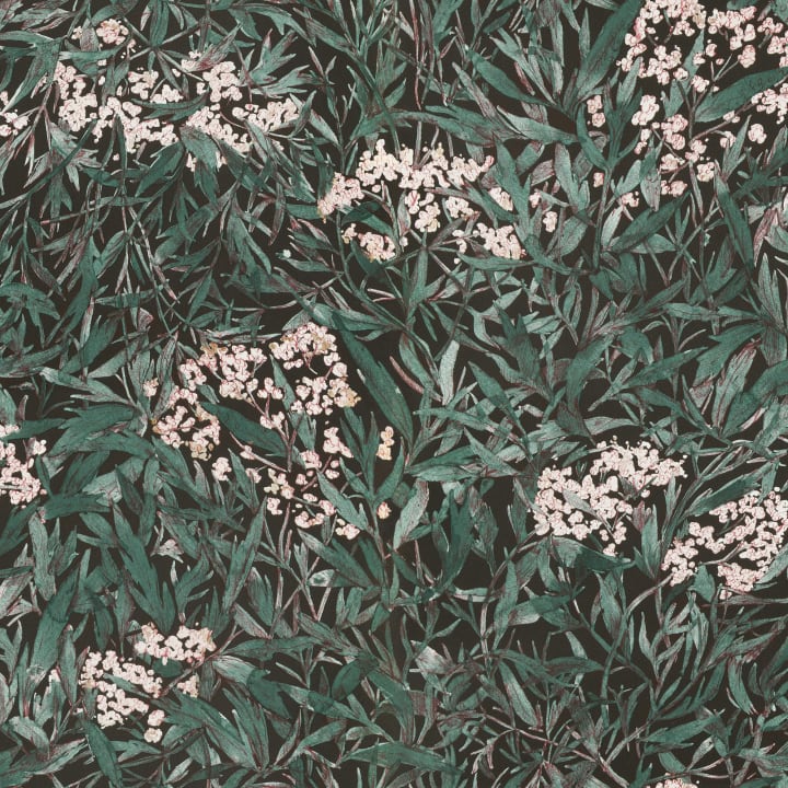 KOLONIN MALIN, BLACK