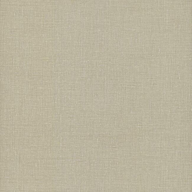 ARTISTIC ABSTRACTS GESSO WEAVE WALLPAPER