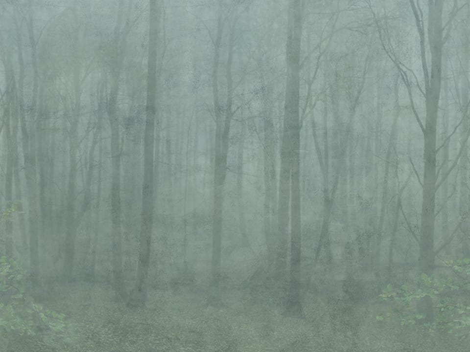 JORDNARA SKOG FOREST GREEN