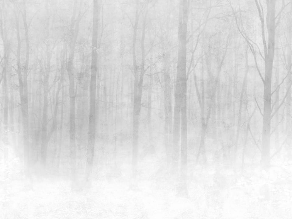 JORDNARA VINTERSKOG GREY