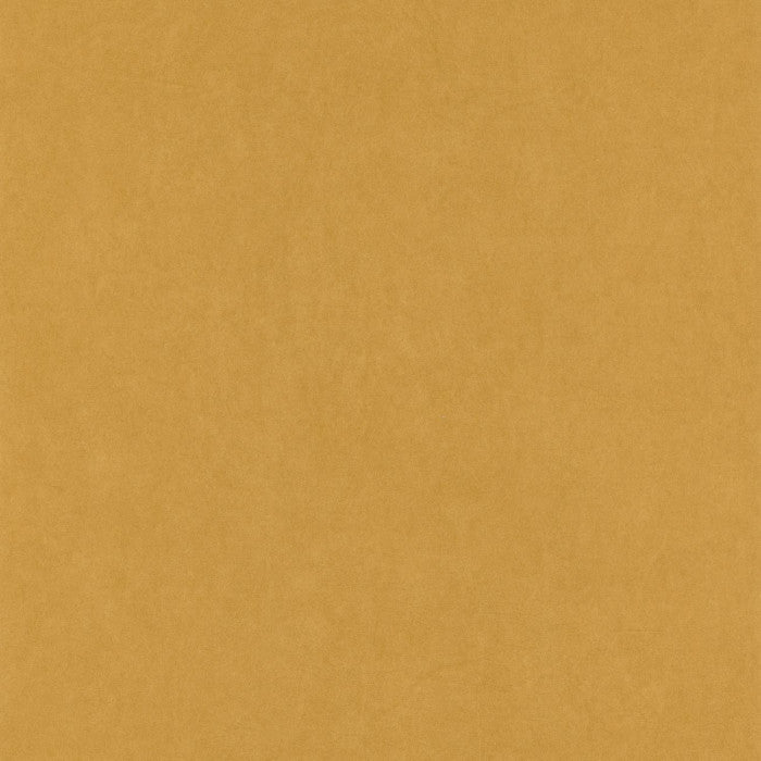 BOTANICA FLORESCENCE KIOSQUE