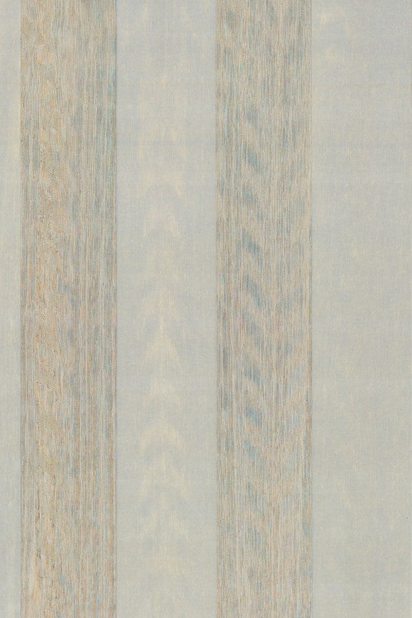 AMAZONE 2 WALLCOVERING TRAIL