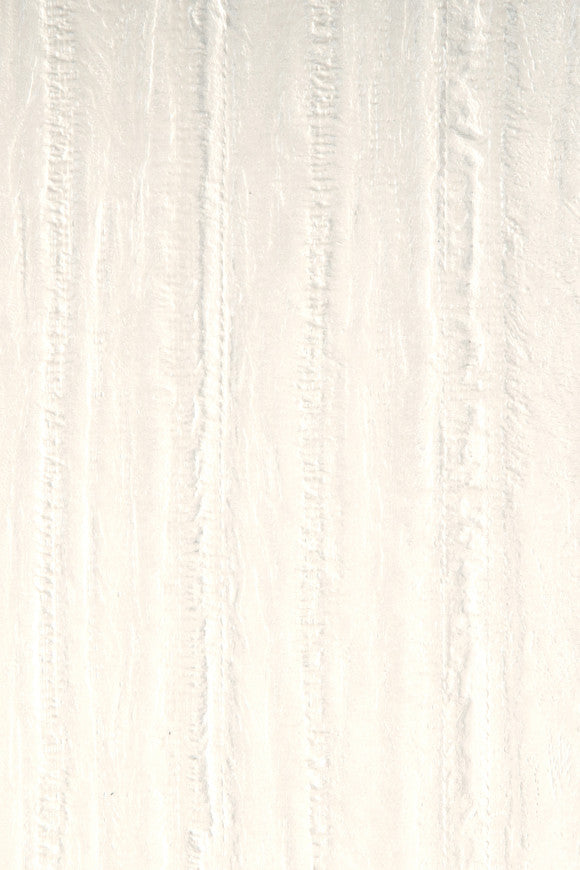 CONTRACT VINYL ECORSE