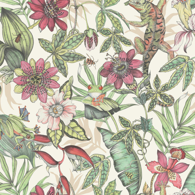 BLOOMS SECOND EDITION RAINFOREST WALLPAPER