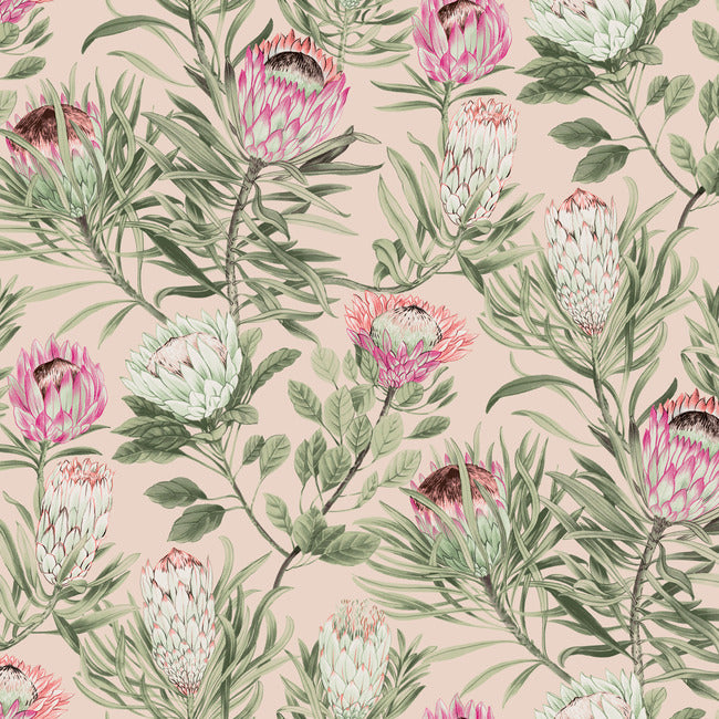 BLOOMS SECOND EDITION PROTEA WALLPAPER