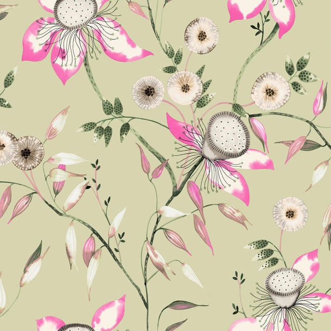 BLOOMS SECOND EDITION DREAM BLOSSOM WALLPAPER