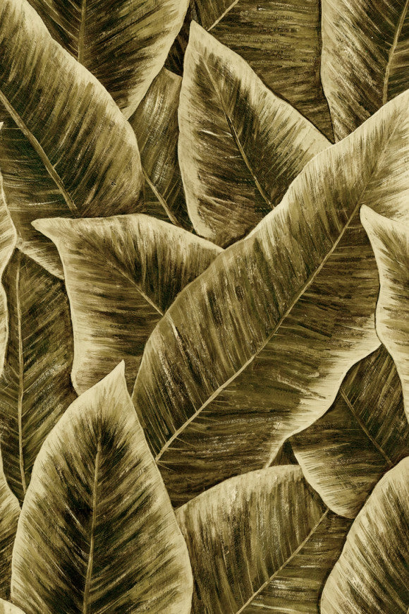 DECORS & PANORAMIQUES BIRD OF PARADISE - DECOR