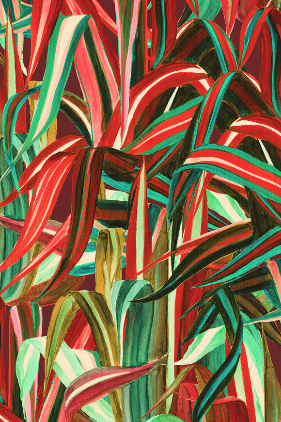 DECORS & PANORAMIQUES JAVA - DECOR