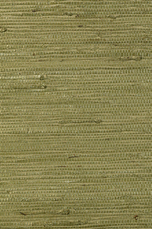 OSMANTHUS WALLCOVERING KUDZU