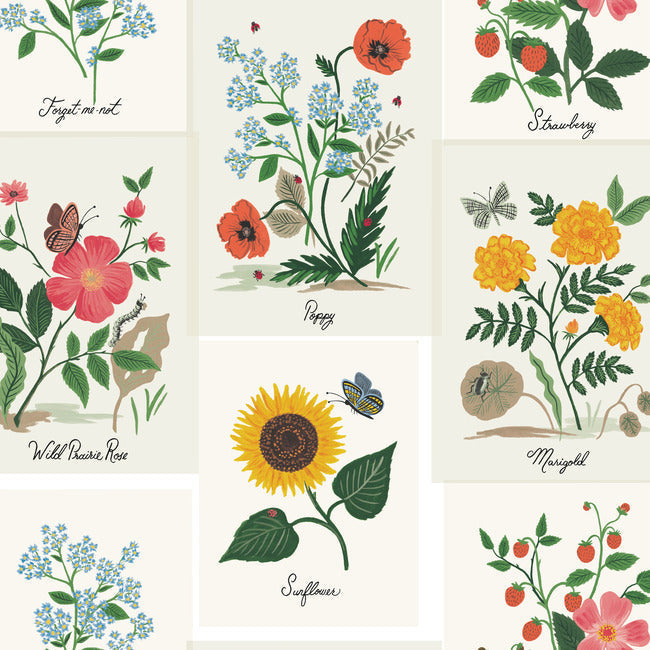 RIFLE PAPER CO. SECOND EDITION BOTANICAL PRINTS WALLPAPER