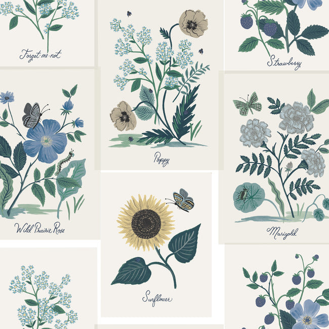 RIFLE PAPER CO. SECOND EDITION BOTANICAL PRINTS WALLPAPER