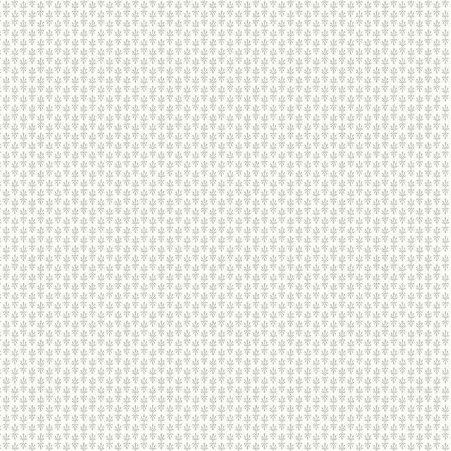 RIFLE PAPER CO. SECOND EDITION PETAL WALLPAPER