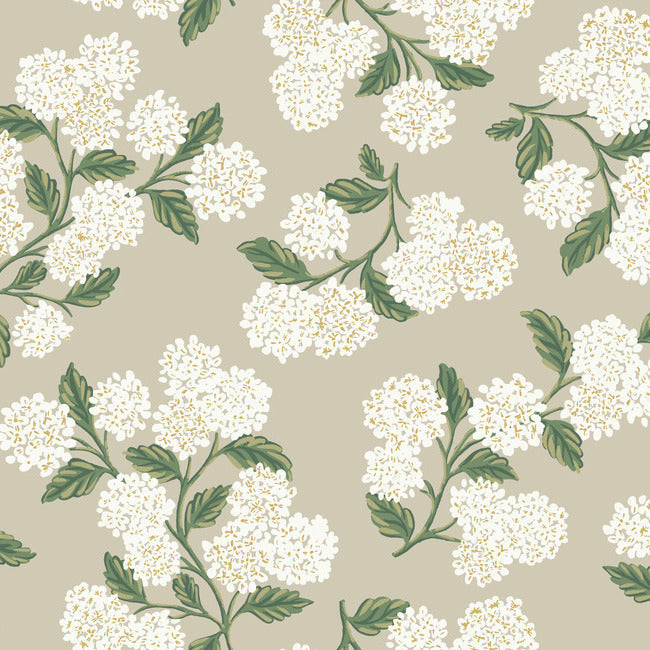 RIFLE PAPER CO. SECOND EDITION HYDRANGEA WALLPAPER