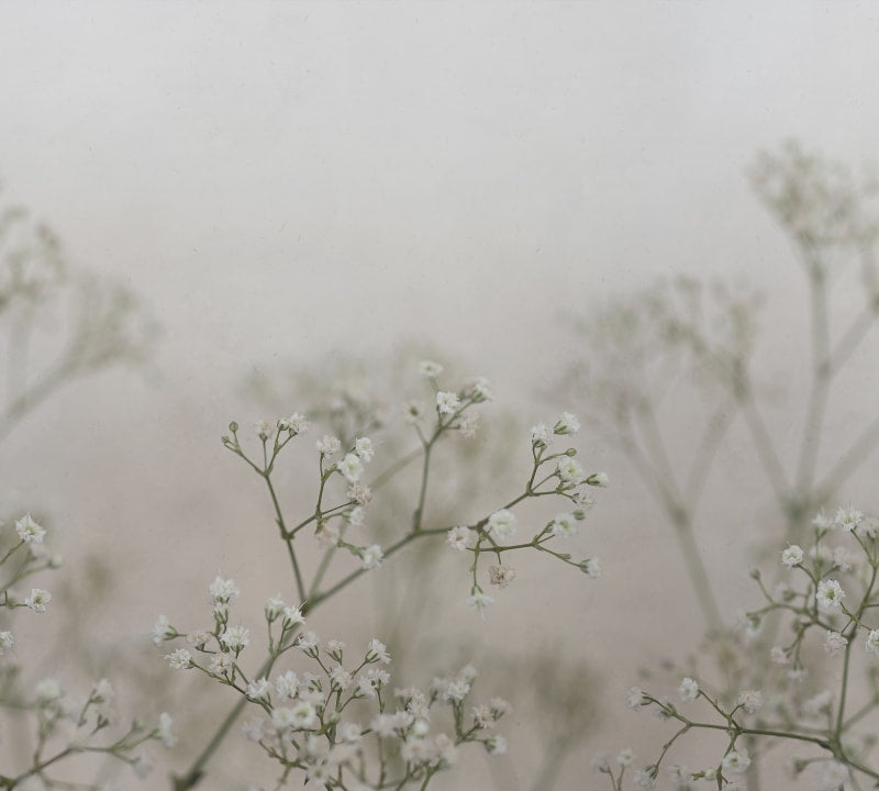 JORDNARA JULIA SPRING GREEN