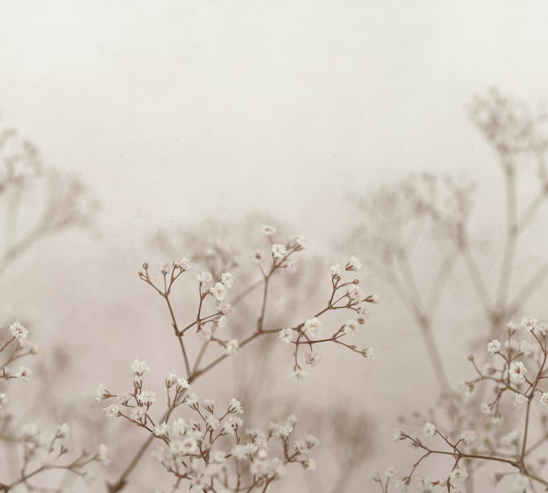 JORDNARA JULIA BLUSH