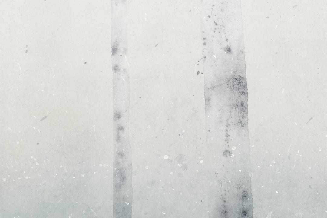 HUSET I SOLEN SUNDBORN WINTER