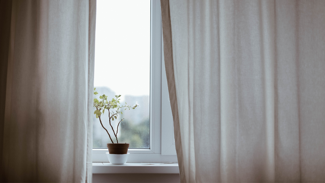 Rèm cửa sổ màu be và chậy cây nhỏ