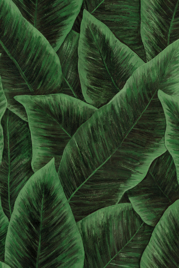 DécorsPanoramiques_Birdofparadise_97572_Packshot_Web_LR-thumb-two-thirds