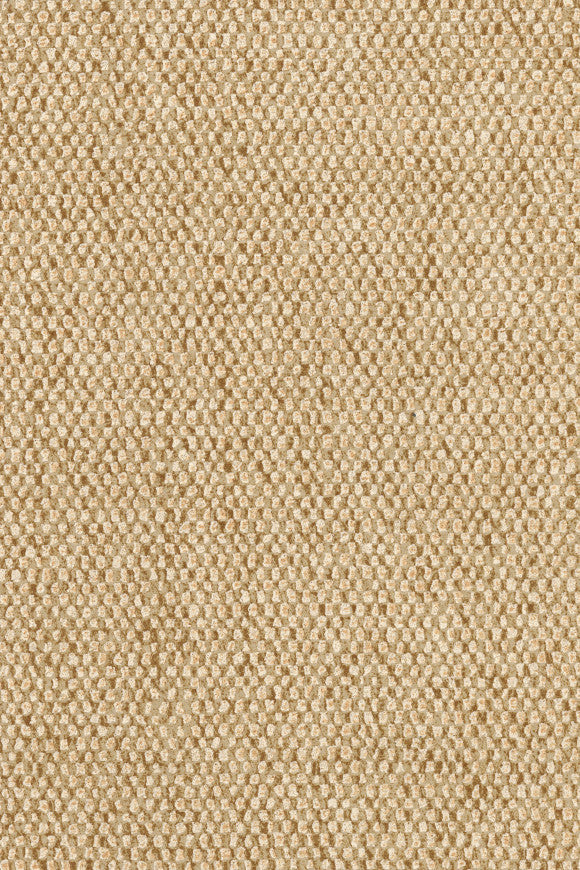 EssentialsLesNuances_Nelson_91559_P-thumb-two-thirds