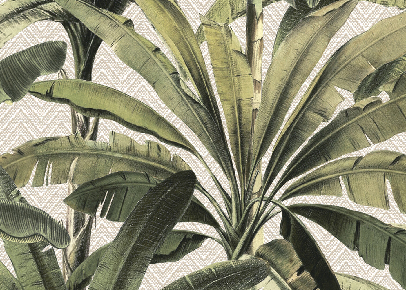 Essentials|Travellers_Palmera_11140_P-hero