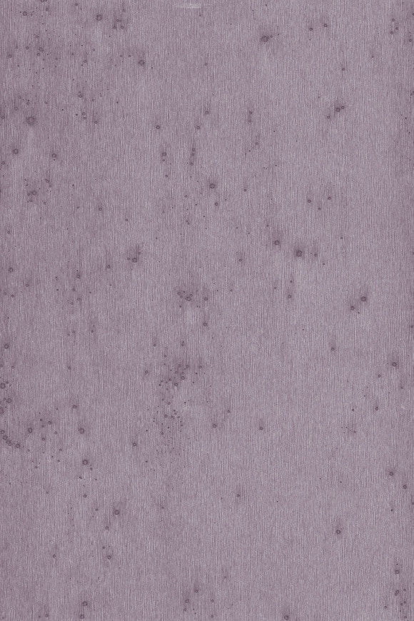 Lush_Stellar_37504A_P-thumb-two-thirds