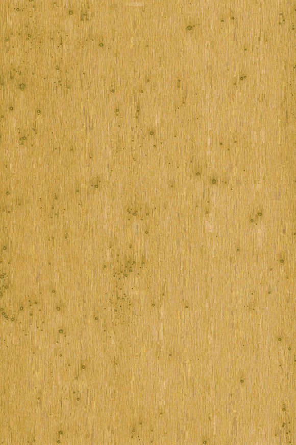 Lush_Stellar_37519A_P-thumb-two-thirds