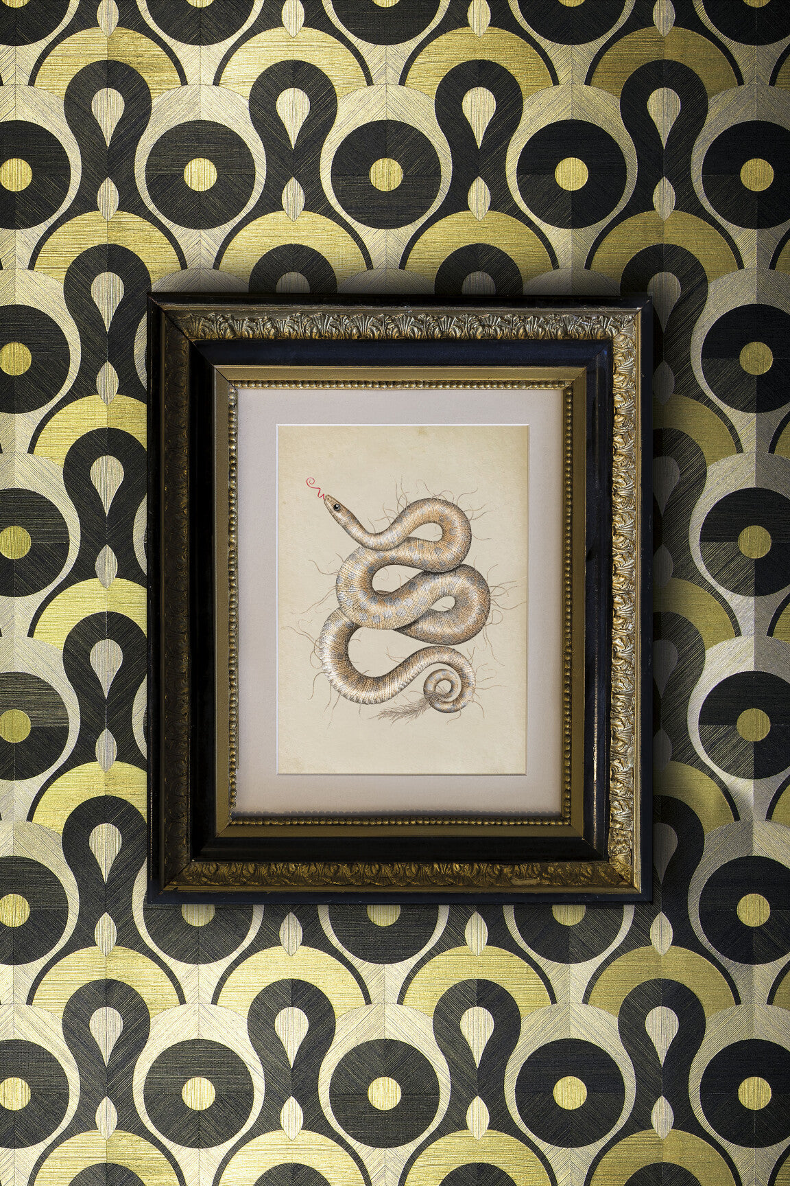 Moooi-Queen-Cobra_LR-medium-two-thirds