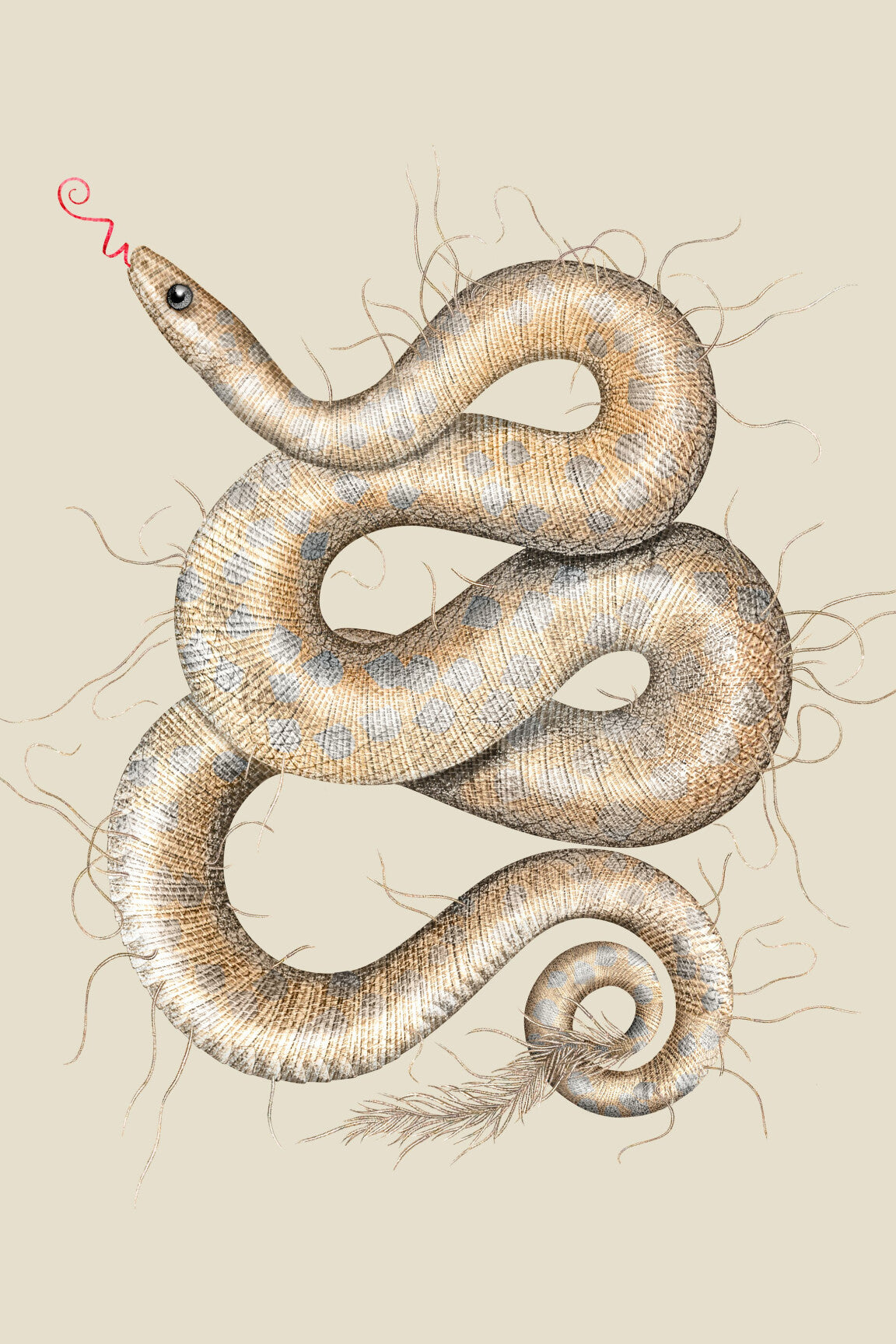 MoooiWallcovering_QueenCobra_Snake-medium-two-thirds