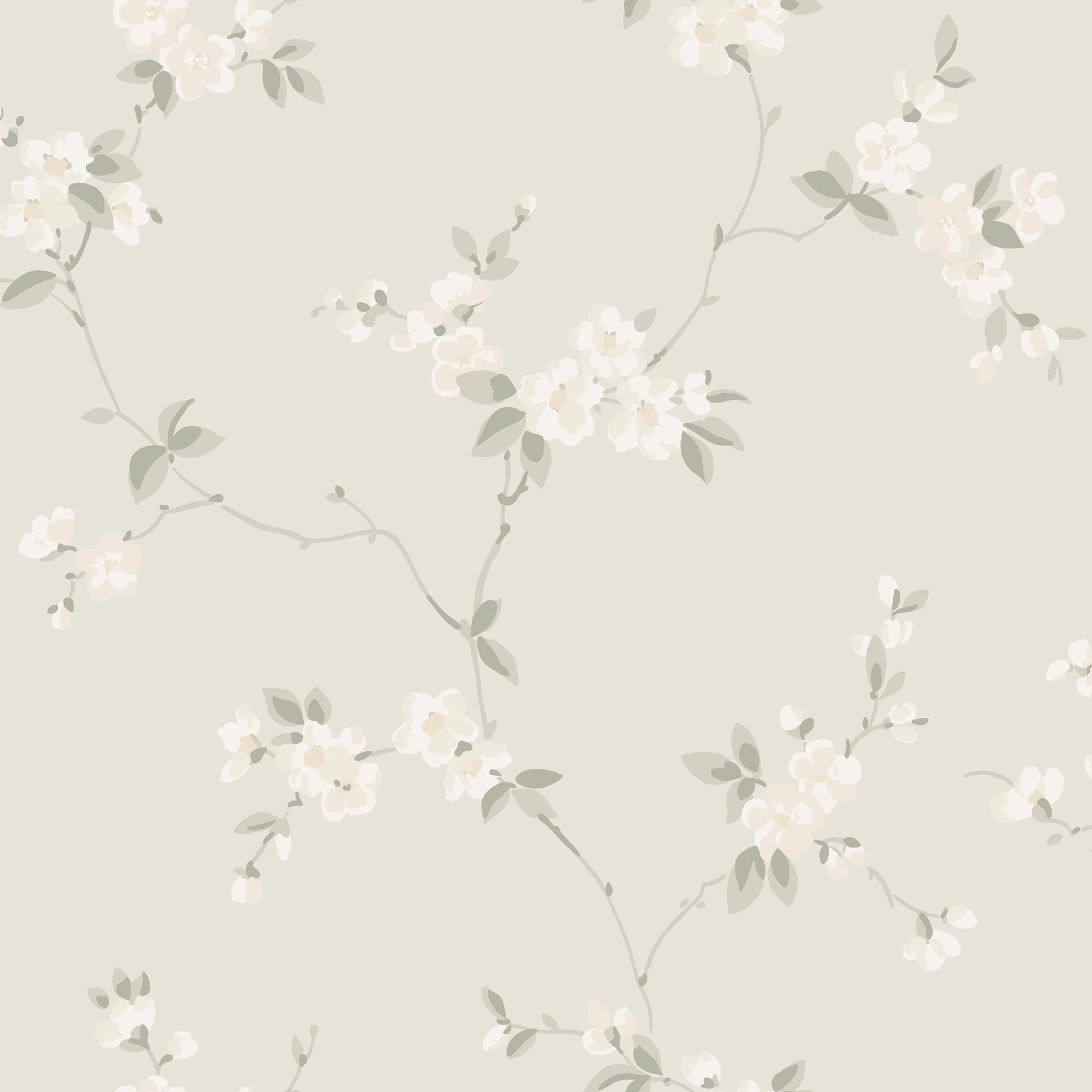 S10186 product