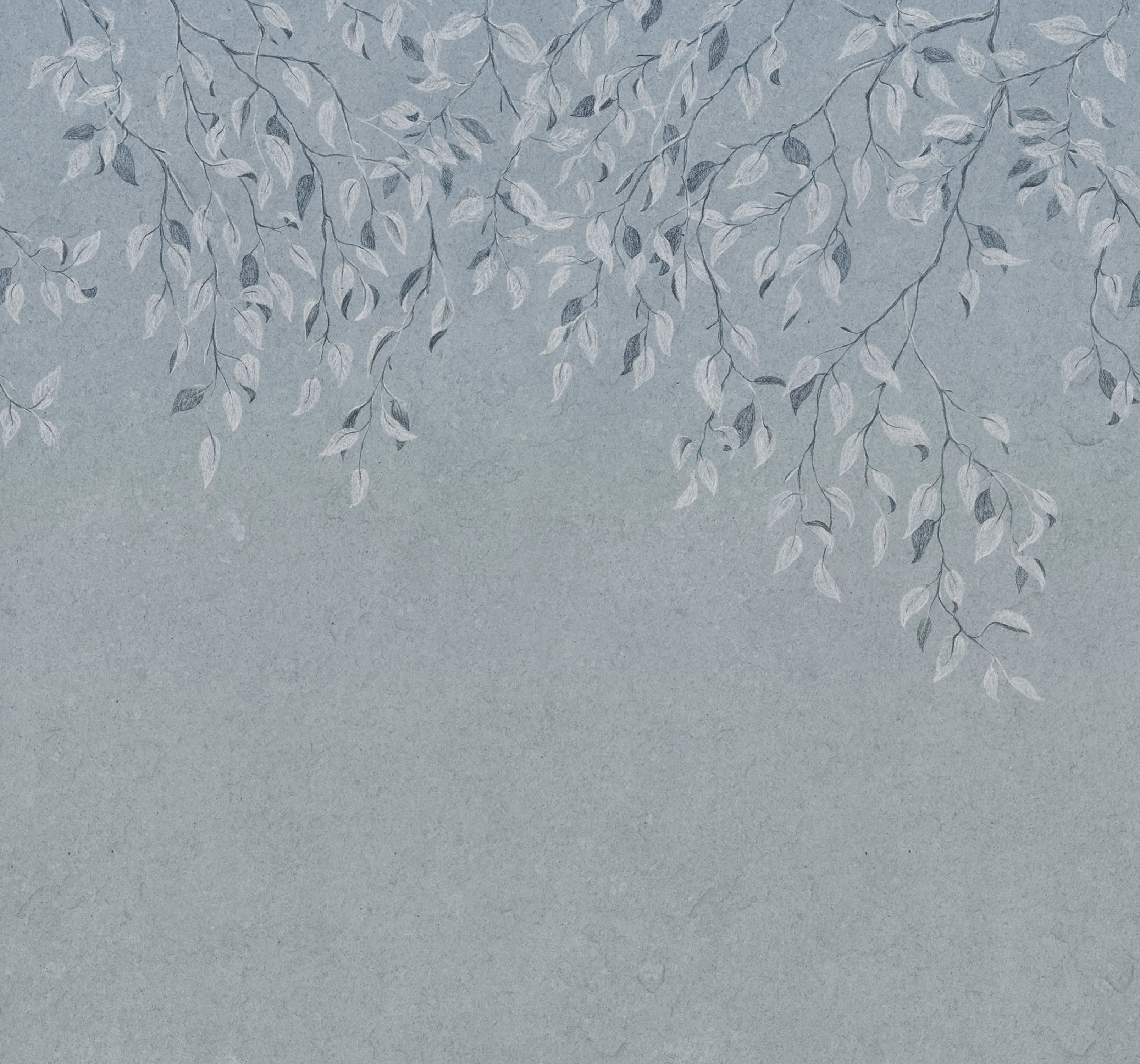 S10356 product