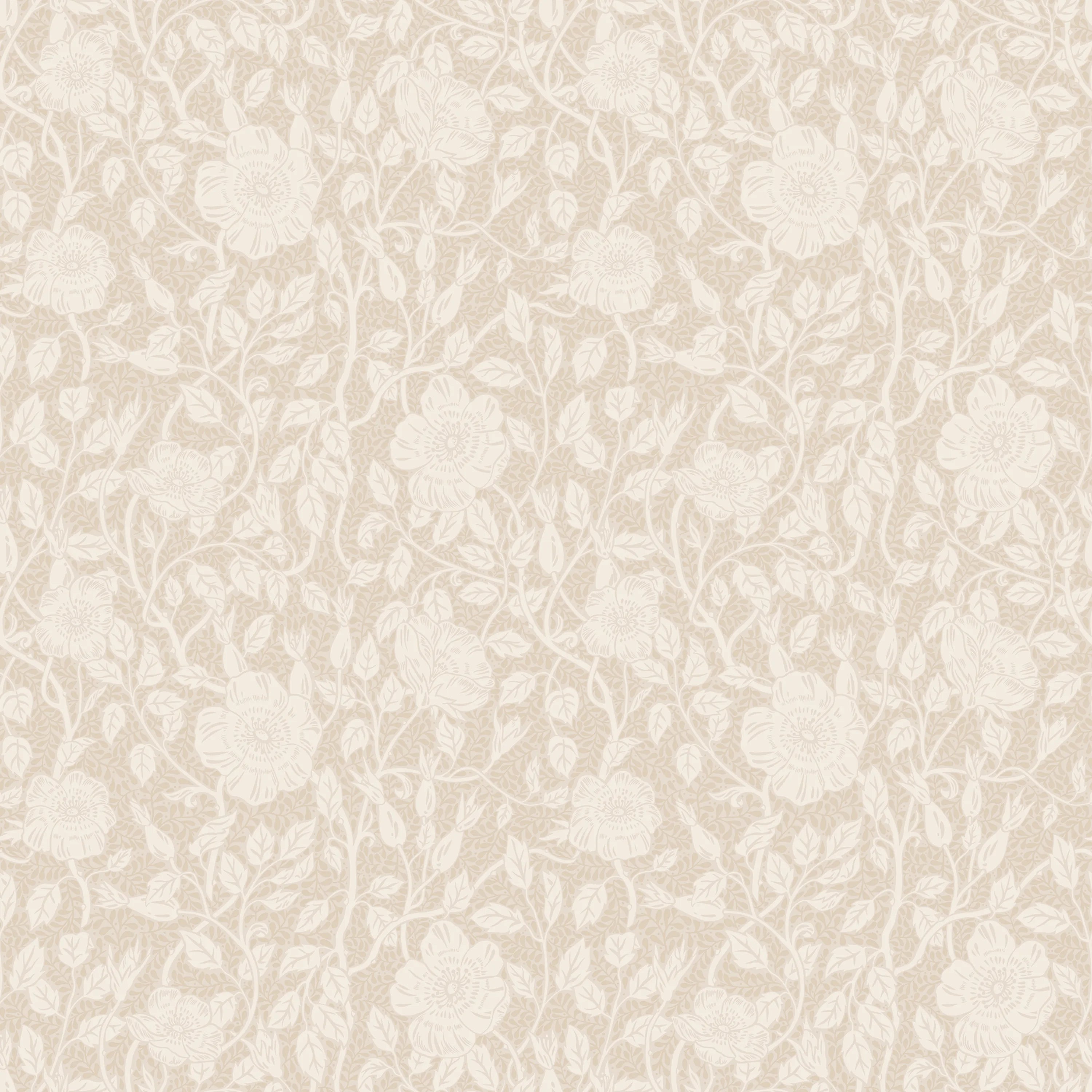 S10567 product