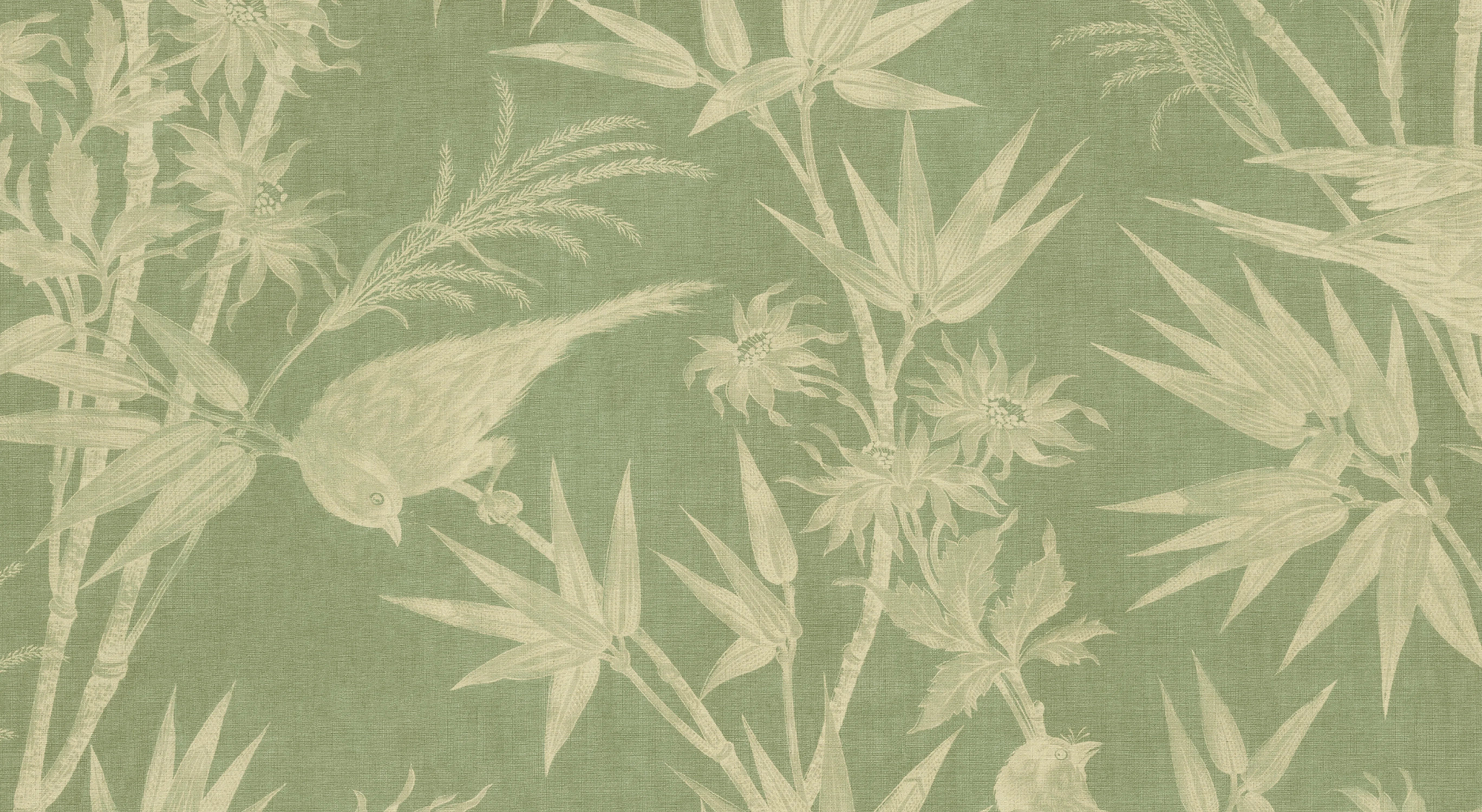 S10597 product