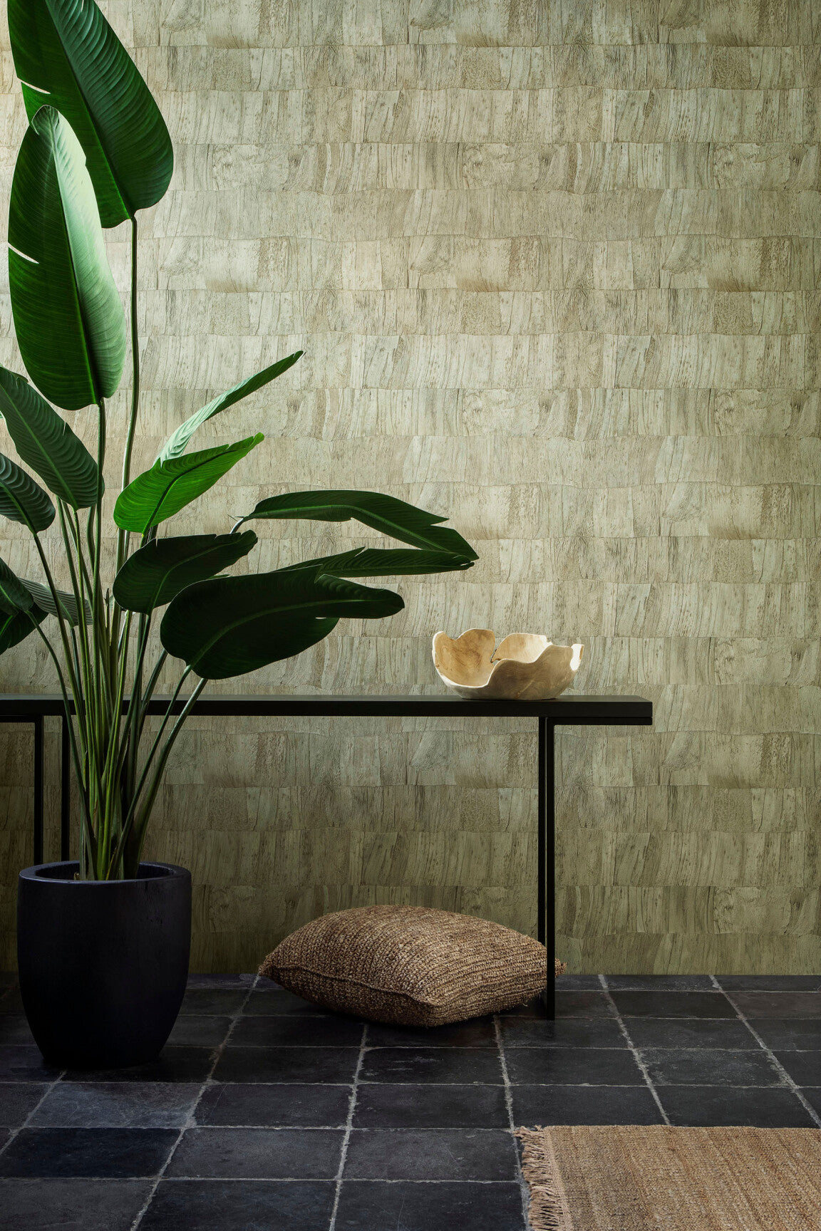 Selva_Capas_34304-medium-two-thirds