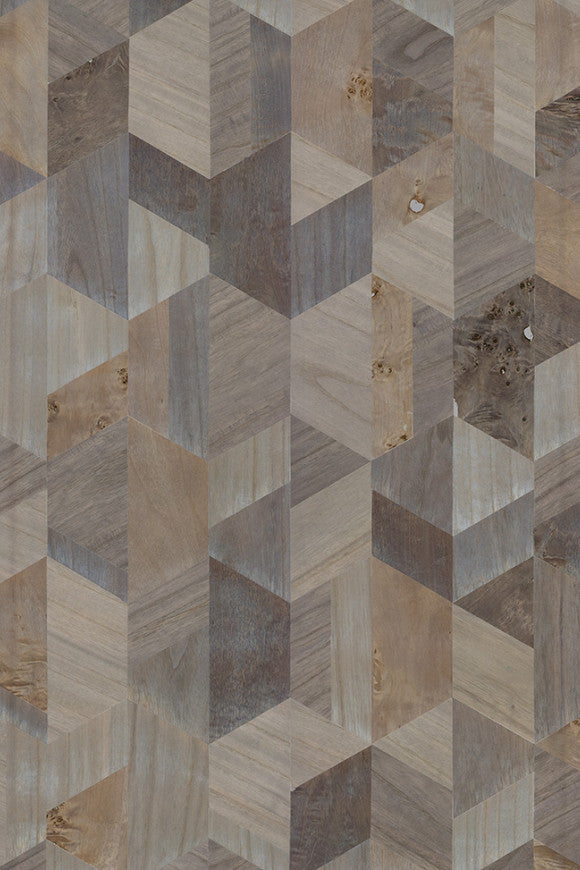 Timber_Formation_38200_P-thumb-two-thirds