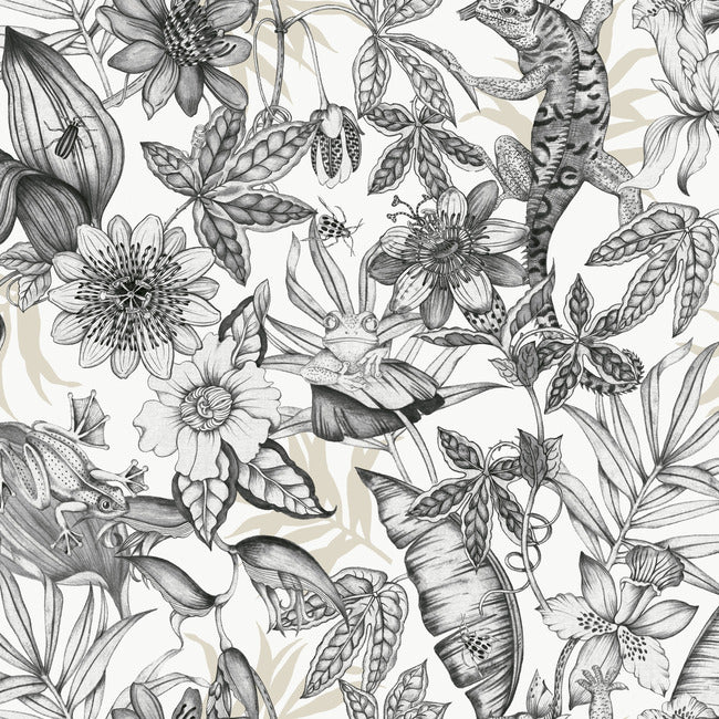 BLOOMS SECOND EDITION RAINFOREST WALLPAPER