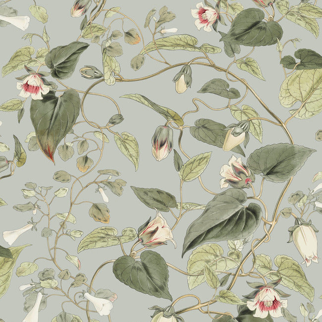 BLOOMS SECOND EDITION MOON FLOWER WALLPAPER