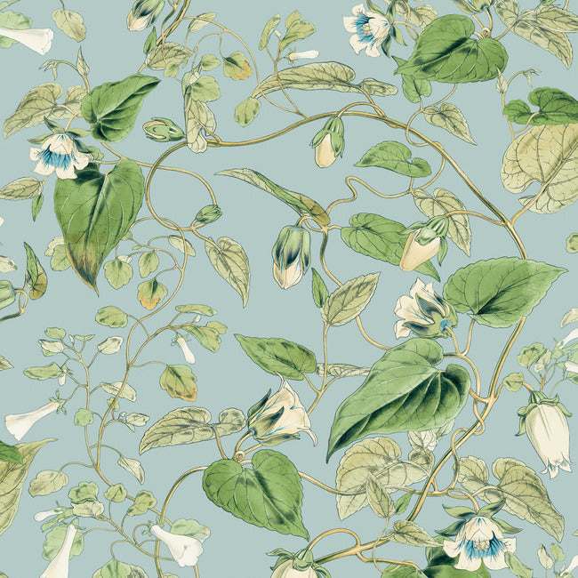 BLOOMS SECOND EDITION MOON FLOWER WALLPAPER