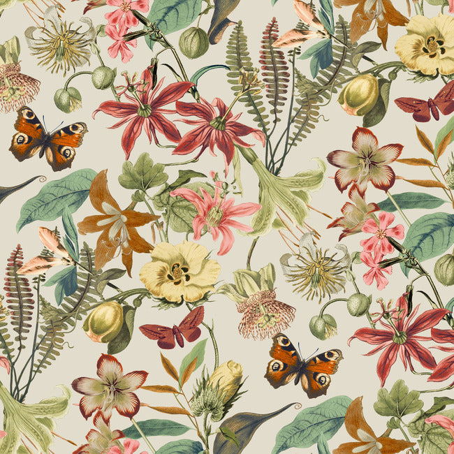 BLOOMS SECOND EDITION BUTTERFLY HOUSE WALLPAPER