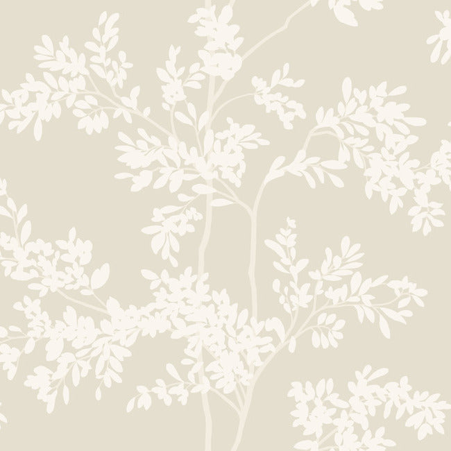 BLOOMS SECOND EDITION LUNARIA SILHOUETTE WALLPAPER