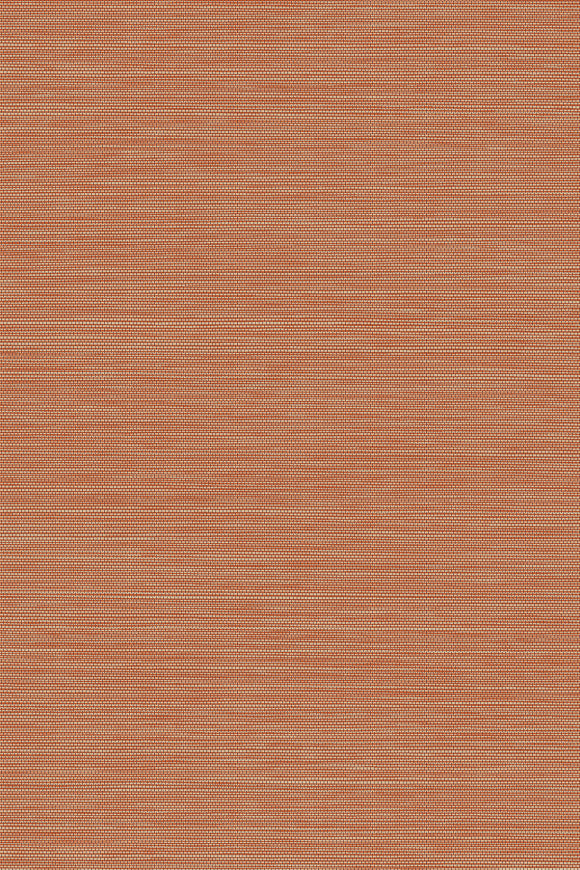 CANTALA WALLCOVERING CRAFT