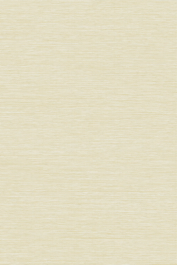 CANTALA WALLCOVERING CRAFT